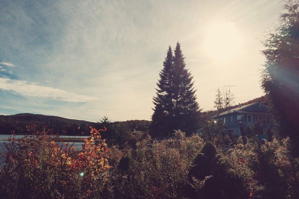¿Cómo combinar una falda plisada con botines para un outfit otoñal?