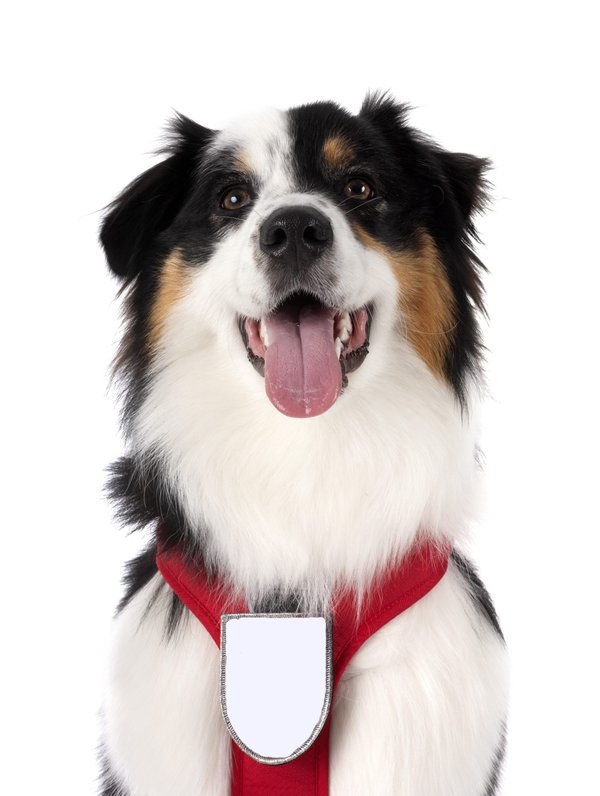 ¿Qué consejos darías para personalizar una chaqueta vaquera y hacerla única?